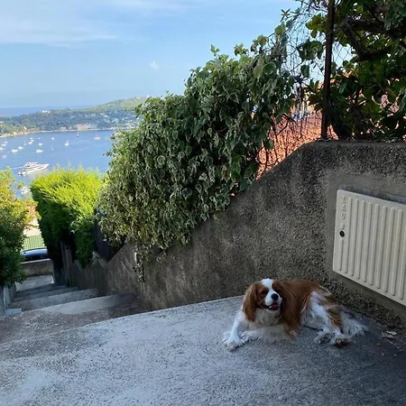 La Fiancée Du Pirate 3*