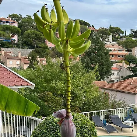 La Fiancée Du Pirate 3* Villefranche-sur-Mer