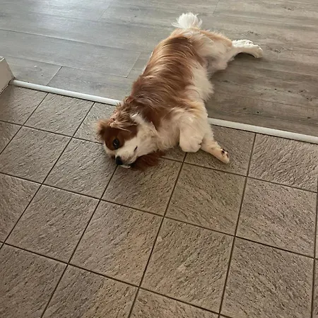 Hotel La Fiancée Du Pirate